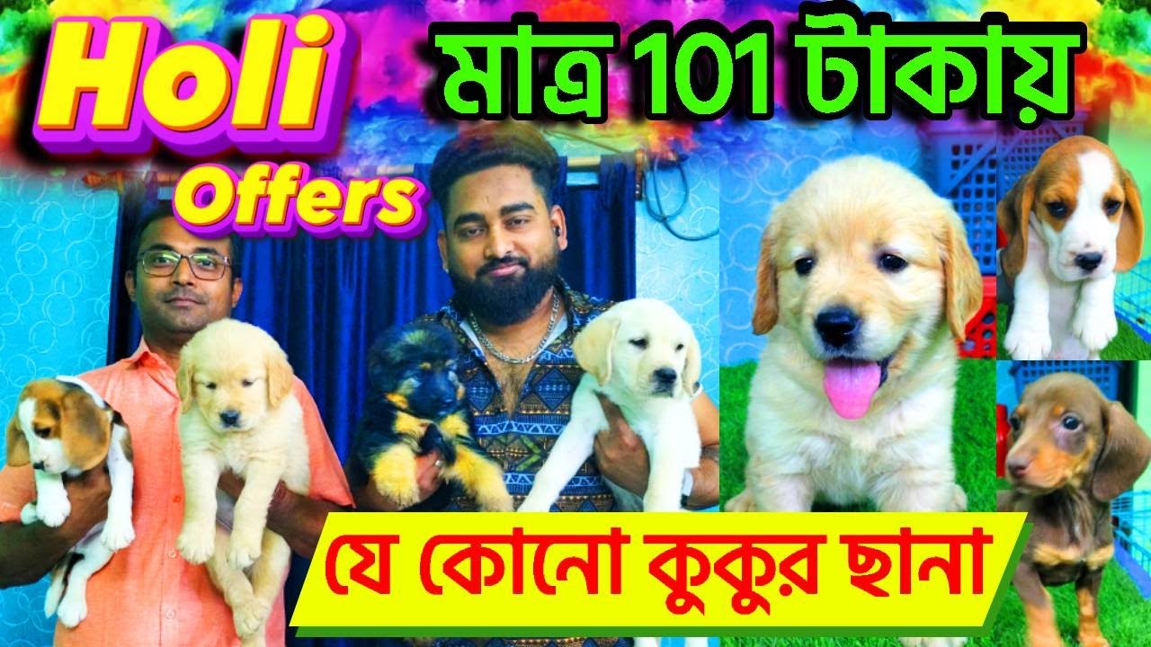 Home Breed Dog in kolkata | dog market in kolkata price | Home Breed Puppies | Dog Market in Kolkata