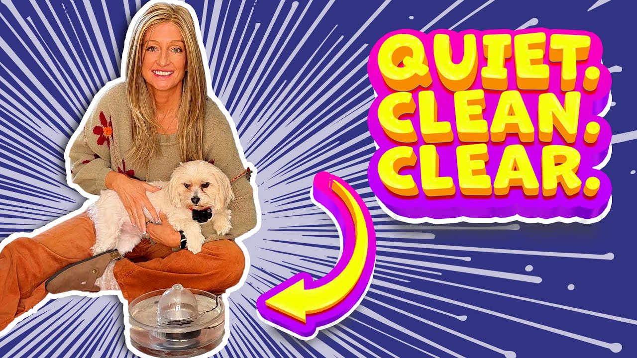 🐱🐶💧 Brook Glass Pet Fountain Review | Clean & Stylish  #amazoninfluencer