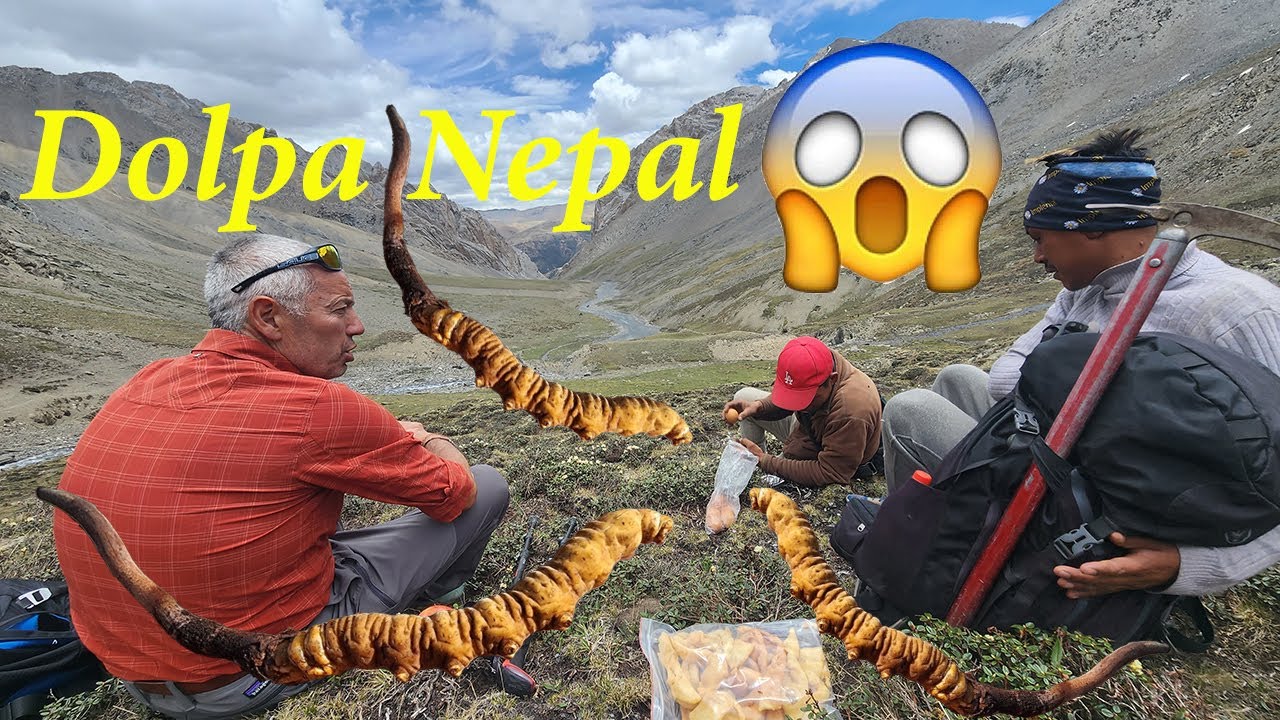Upper Dolpo Trek | Dolpo Mustang Trek | Shey Gompa Trek
