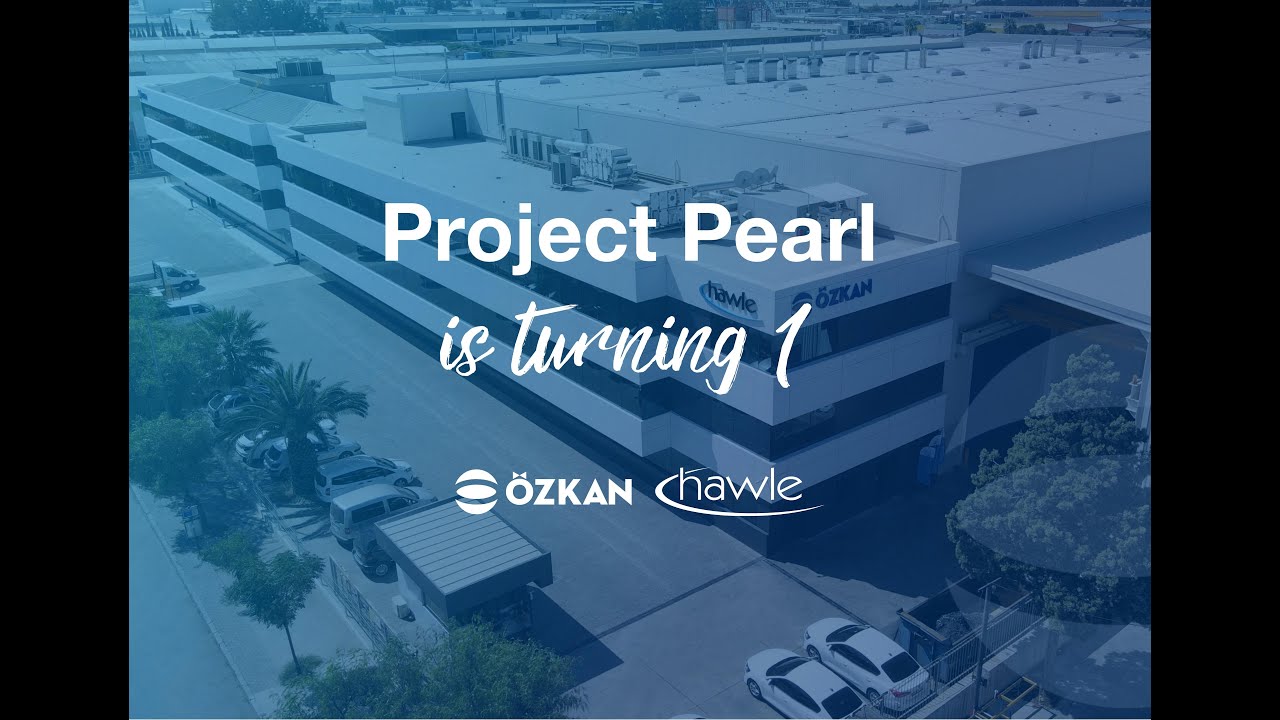 Project Pearl is turning 1!
