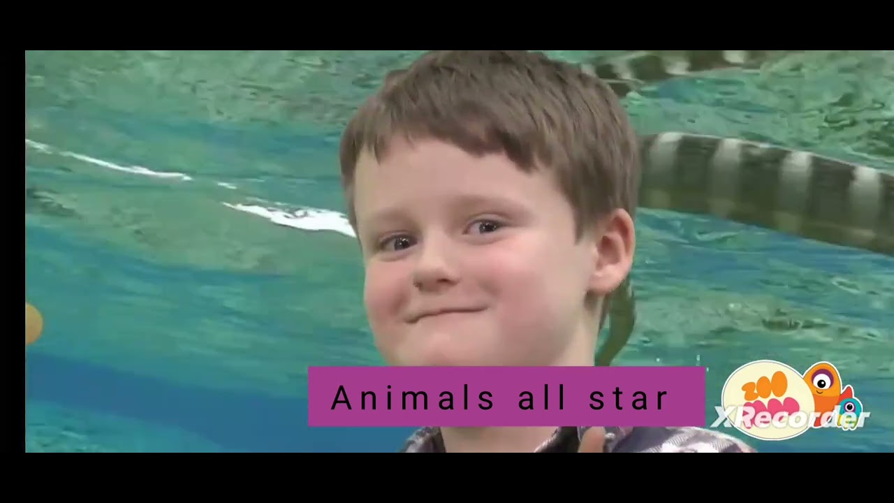 estrellas animales zoomoo DIRECTV