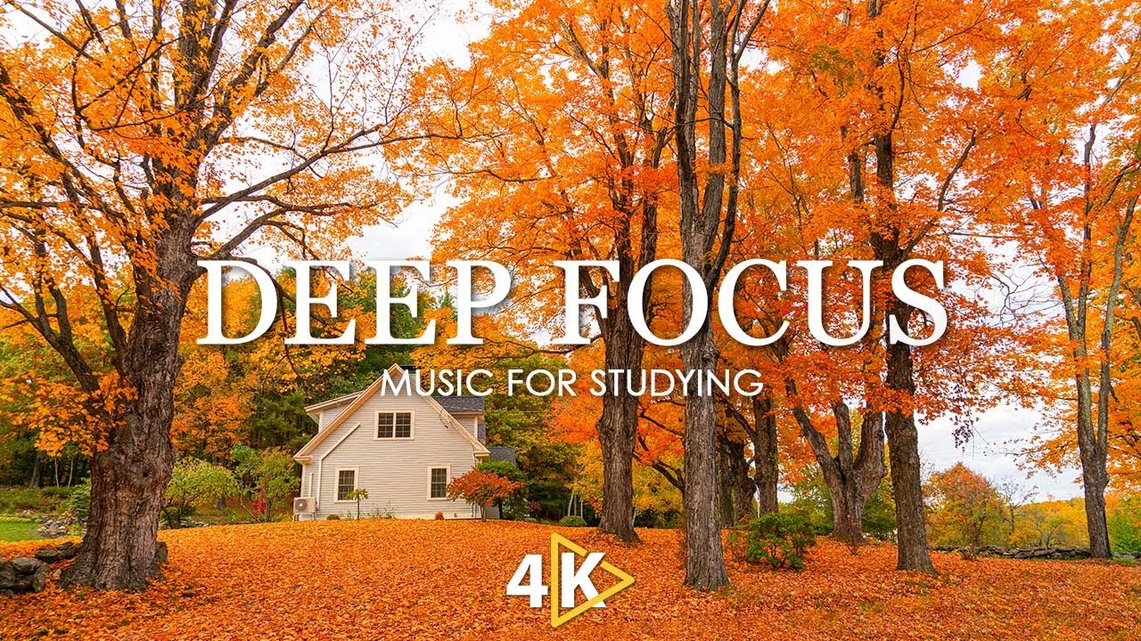 Work Music for Concentration - 12 Hours of Ambient Study Music to Concentrate #35