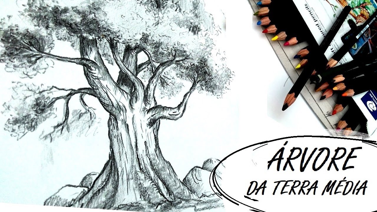 A GRANDE OLIVEIRA! Como DESENHAR ÁRVORE ANTIGA! TRONCO RETORCIDO, GALHOS  e a COPA! Lápis de cor!