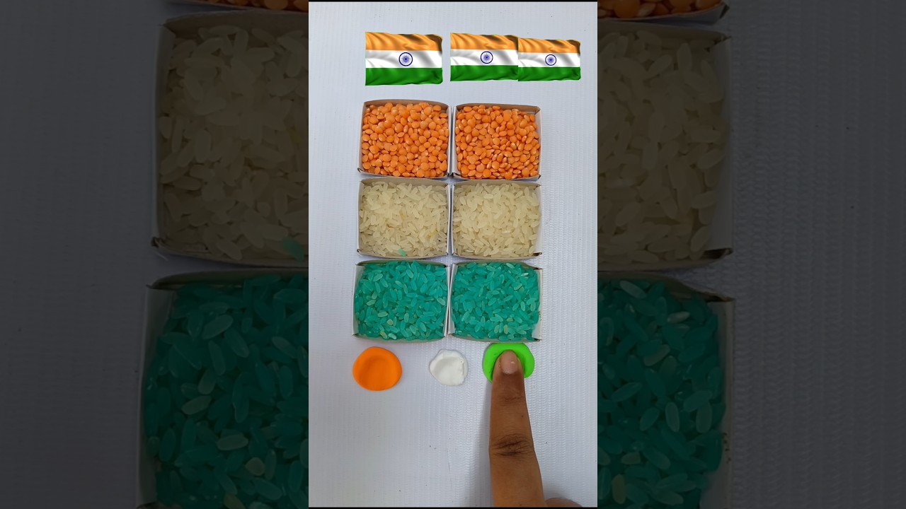 Guess the flag! Art video #color #flagart #drawing
