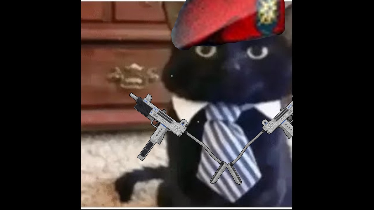 [🔴LIVE] ngetes jaringan  | #pointblank