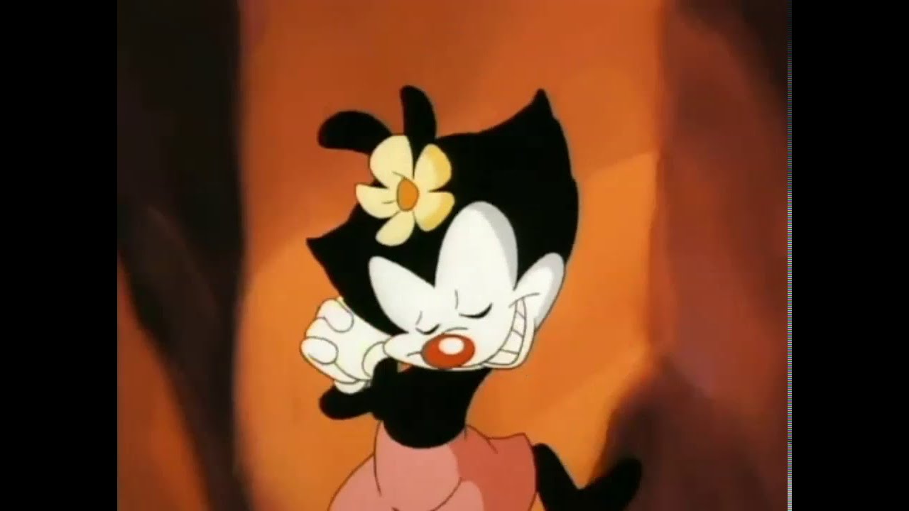 Dot's full name.