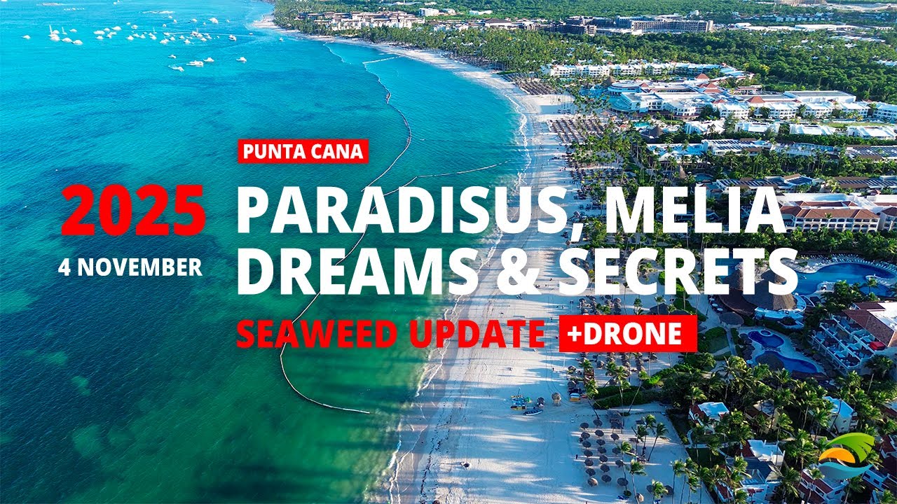 Новости о морских водорослях в Пунта-Кане (4 ноября 2025 г.) — Secrets & Dreams Resorts, Paradisu...