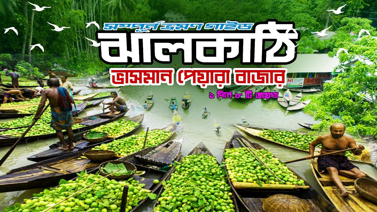 Jhalakathi District | ভাসমান পেয়ারা বাজার  | The Biggest Floating Guava Market In BD | Mr Luxsu