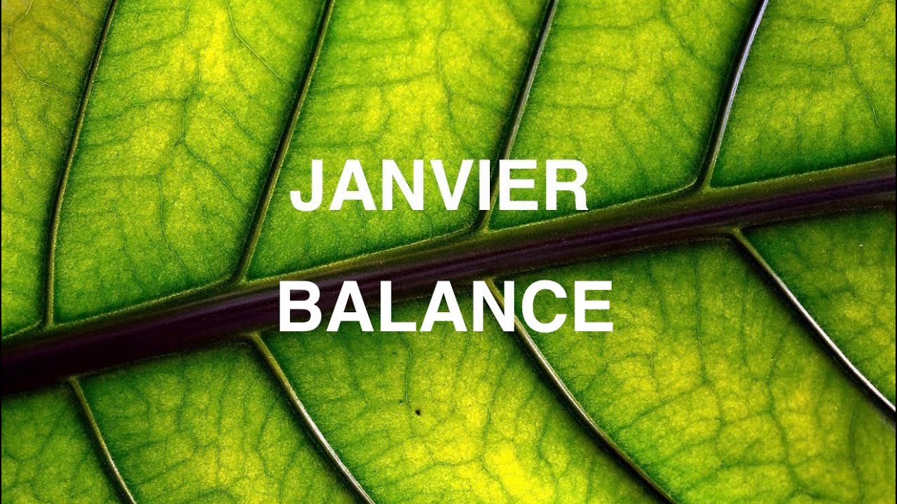 JANVIER BALANCE                                                   OSE CHOISIR TON PROPRE BONHEUR 