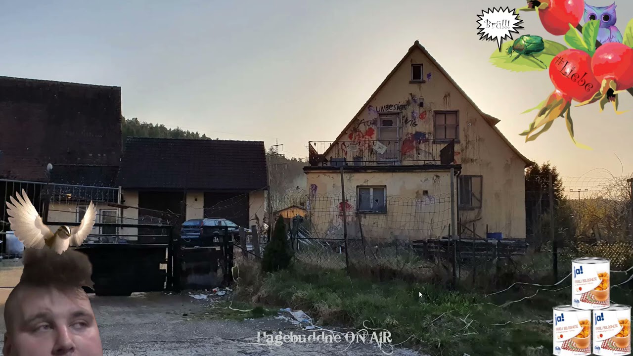 Reaktion - Seine Lordschaft gegenüber den Untertanen auf Discord