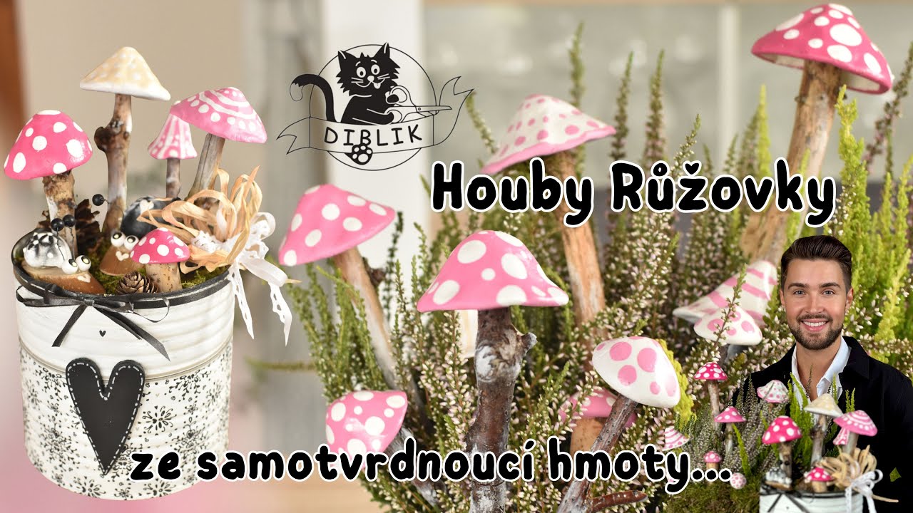 Růžovky (houby) ze samotvrdnoucí hmoty - Jan Diblíček