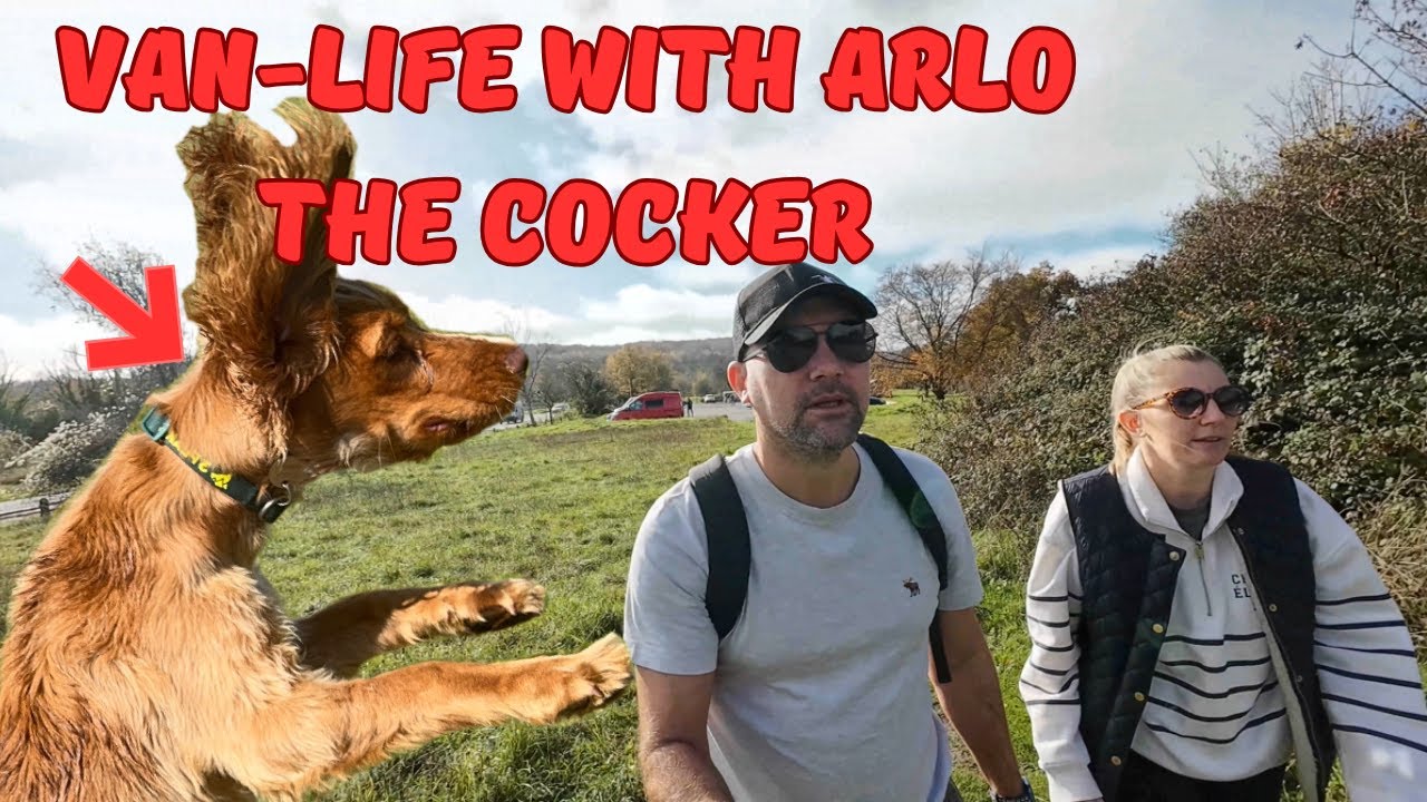 Смотрите, как мы смеемся, Vanlife Arundel