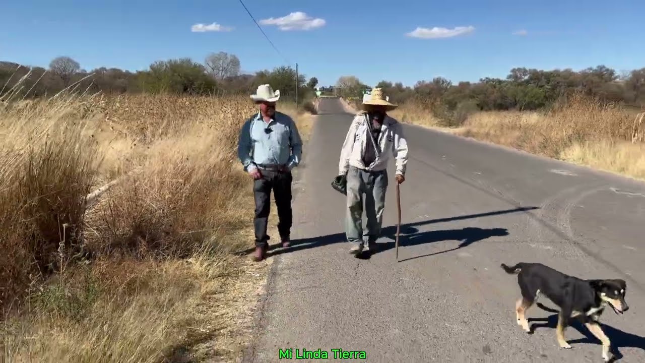 DEL DIARIO TENGO QUE CUIDAR LAS VACAS  Y NOMAS  LO AGO PARA  ENTRETENERME