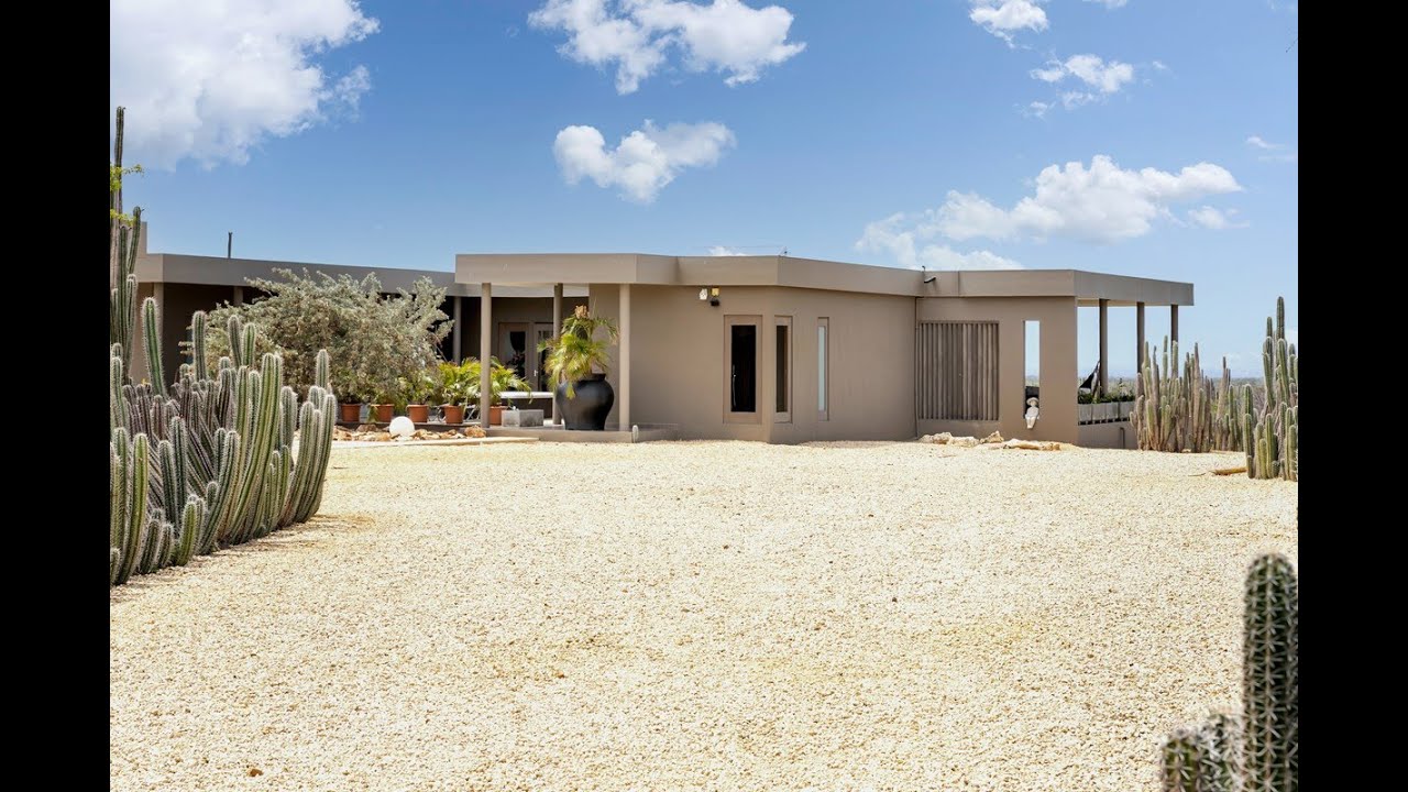 A day at LUGA ALEHA by Caribbean Homes Bonaire