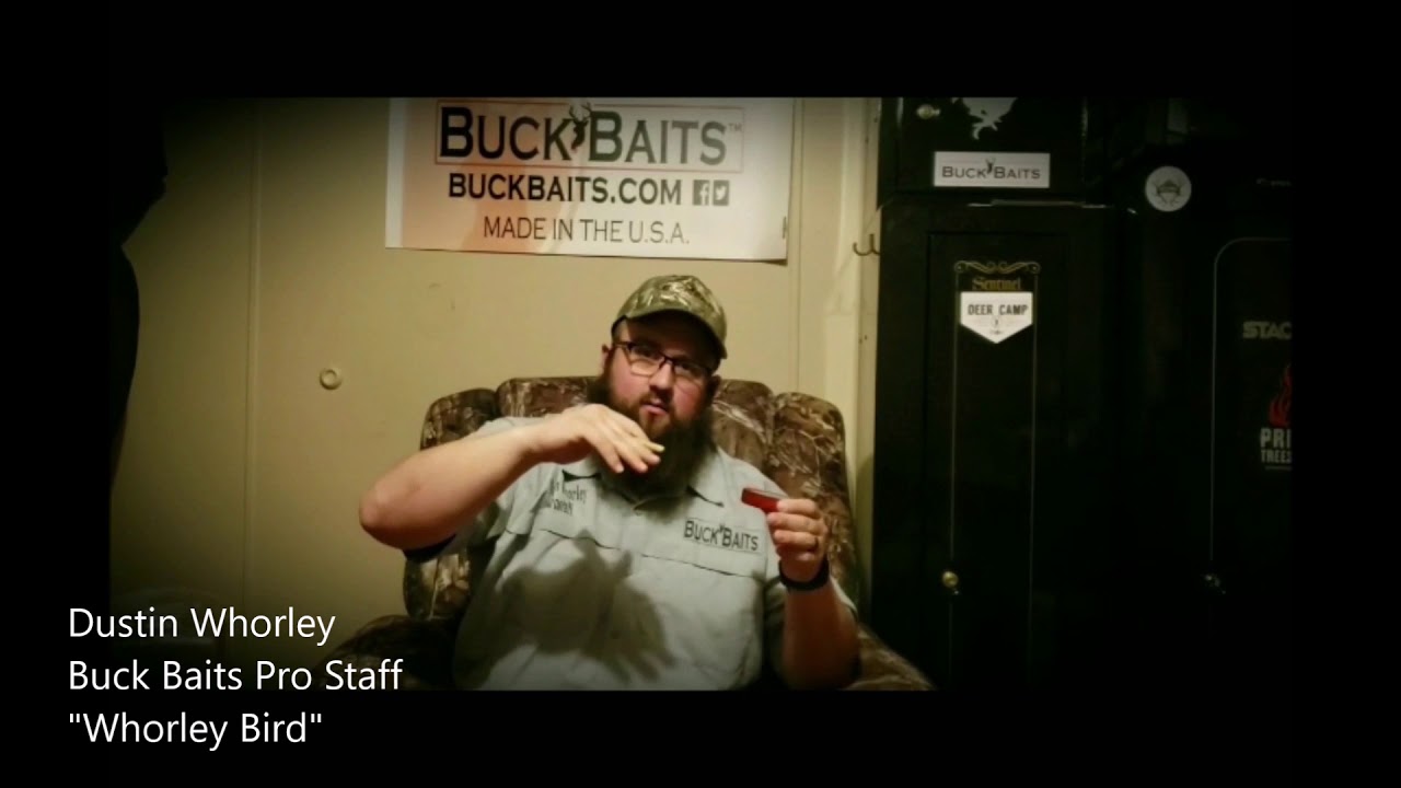 Buck Baits Talking Turkey With Whorley Bird