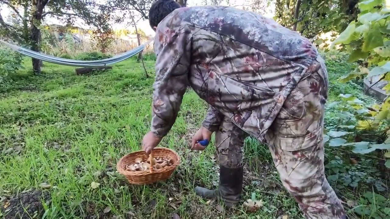 INVAZIE DE GHEBE ÎN GRĂDINĂ 🍄AM FĂCUT ZACUSCĂ