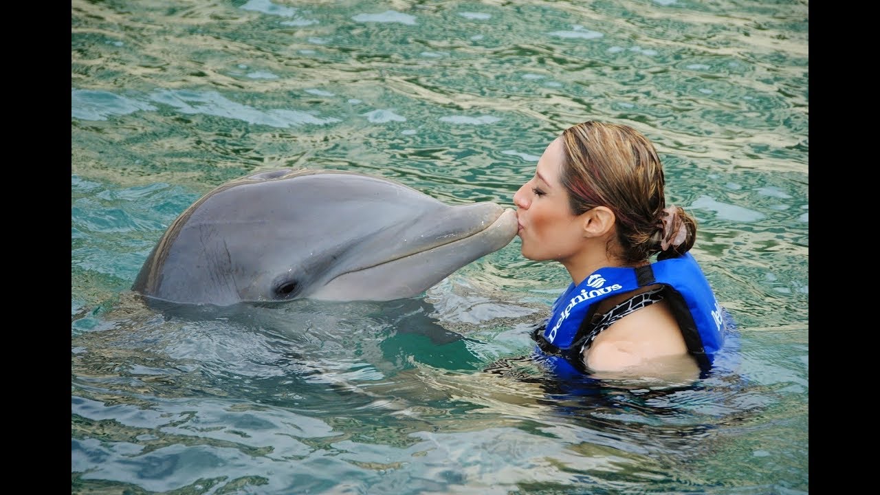 Adriana Macías Nado con Delfines  / Delphinus Cancún (2012)