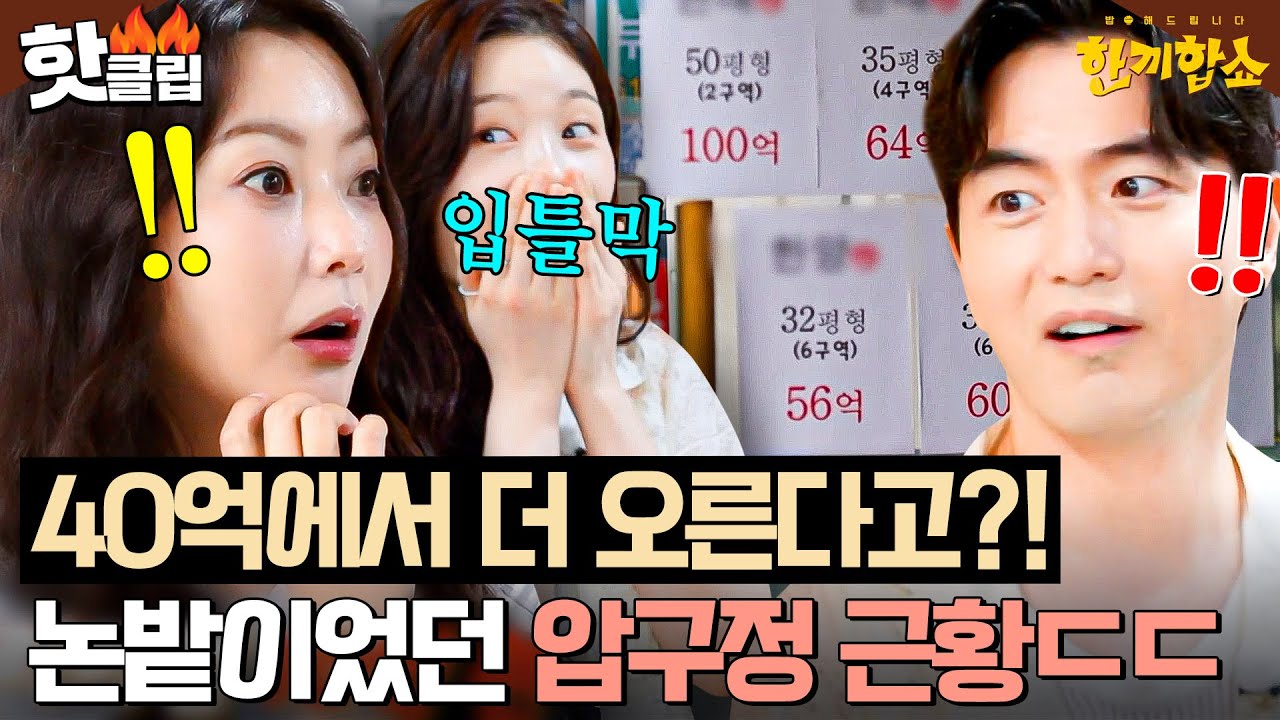 ＂여기가 밭이었다니까!🔥＂ 한강뷰면 10억 더 받는 압구정 아파트 집값에 충격 받은 김희선💥｜한끼합쇼｜JTBC 250805 방송