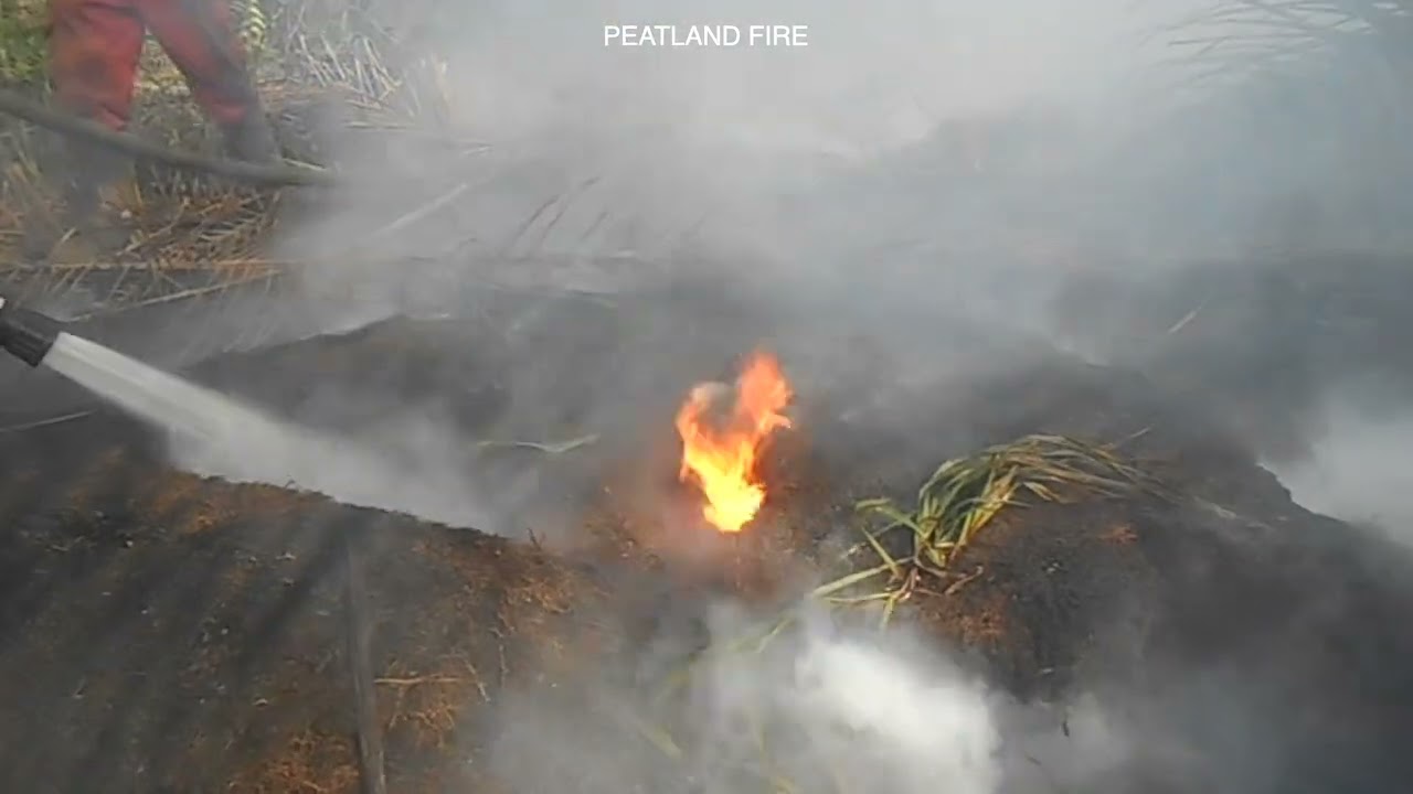 Peatland Fire Indonesia