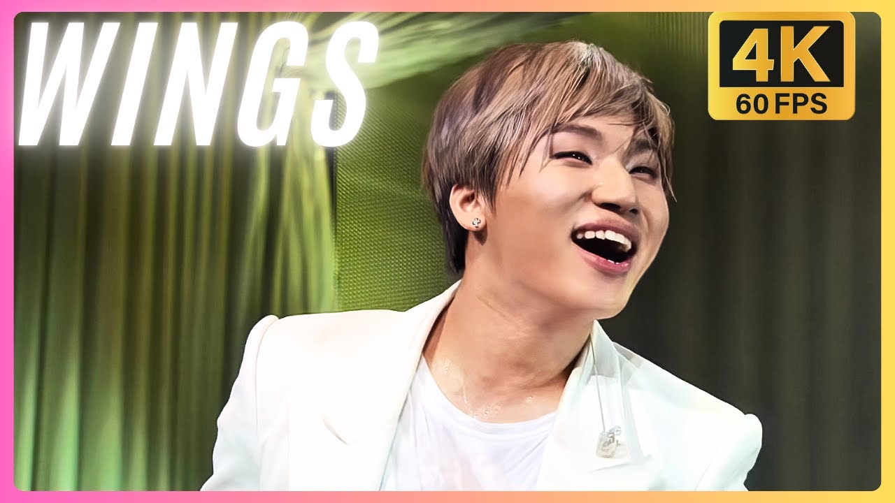 [4K 60FPS] D-LITE - WINGS (JP. ver.) @ D'scover Tour 2013 in Japan - DLIVE 20130618