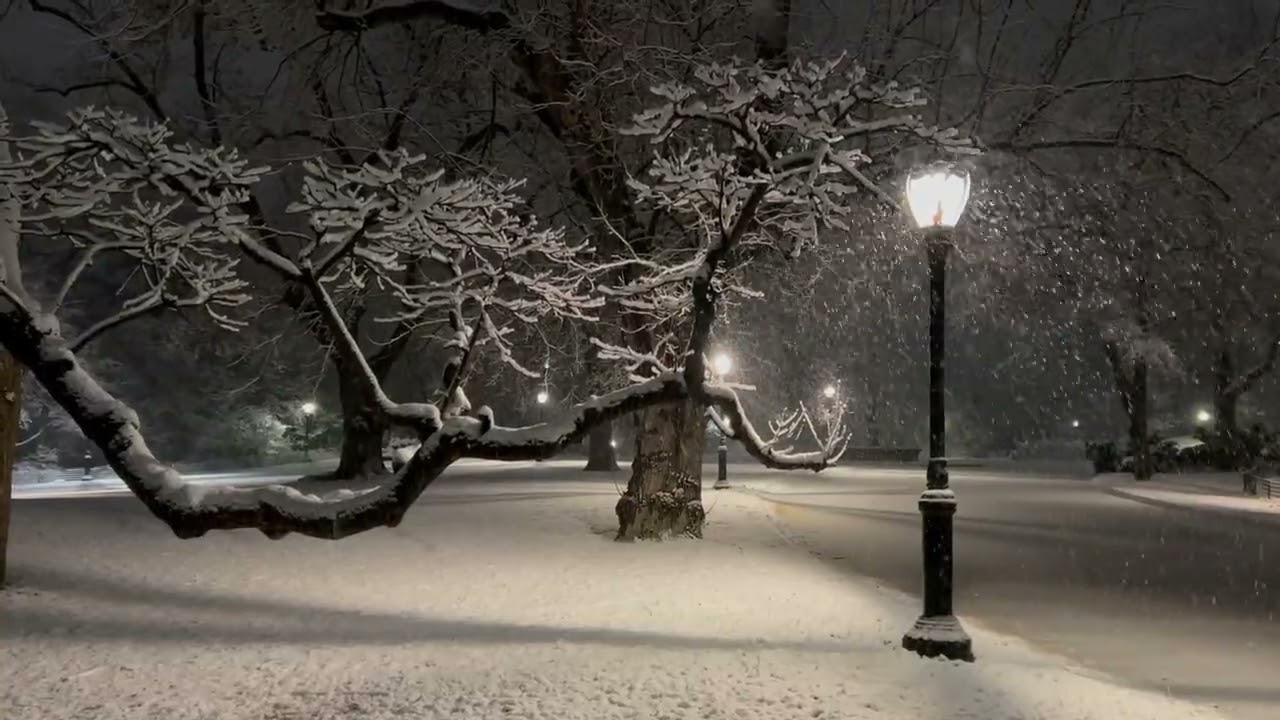 Silent Winter Night | Snowfall Under Warm Streetlights