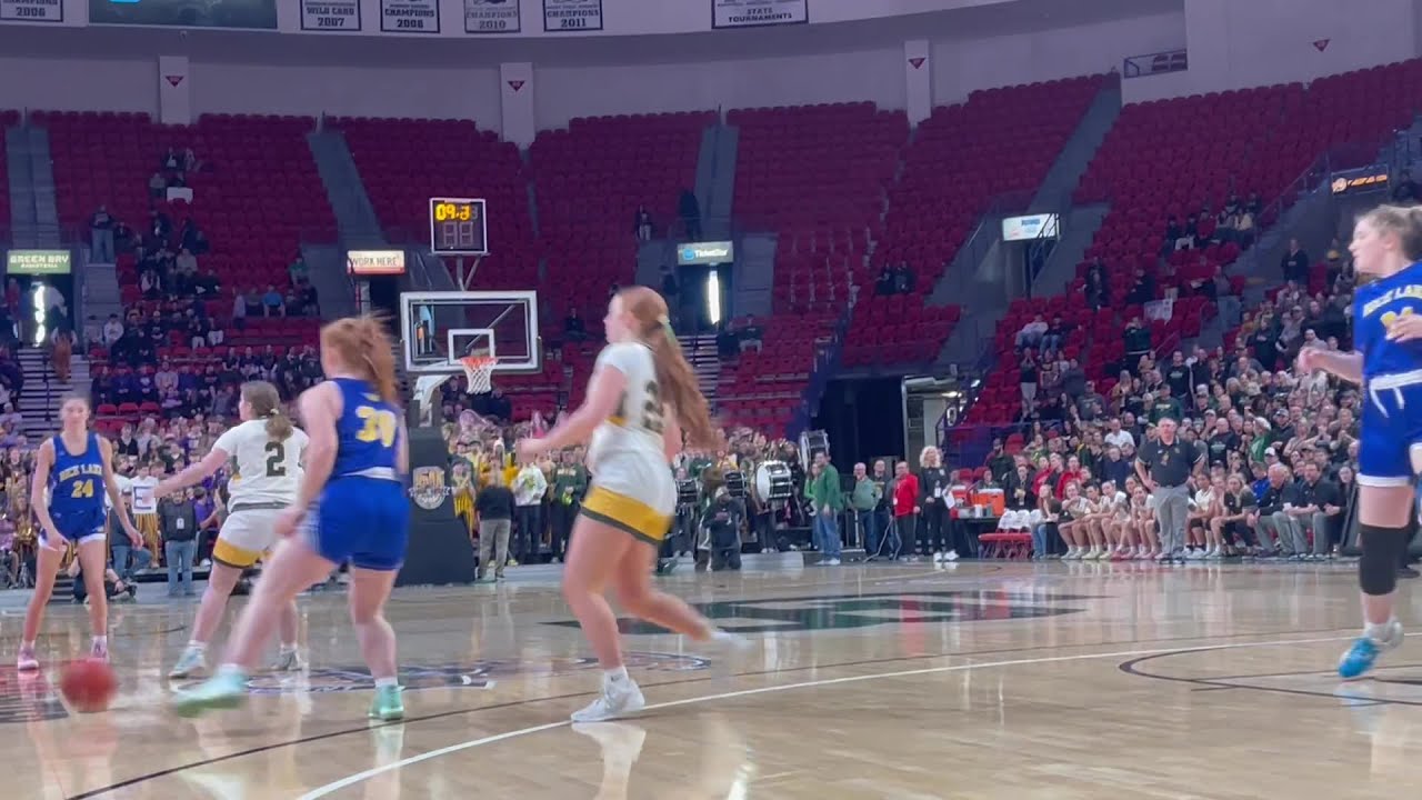 Beaver Dam girls wins Division 2 state semifinal