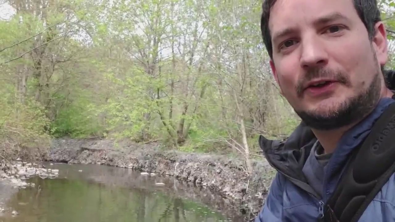 Thomson Memorial Park Hike with BritHikesOntario