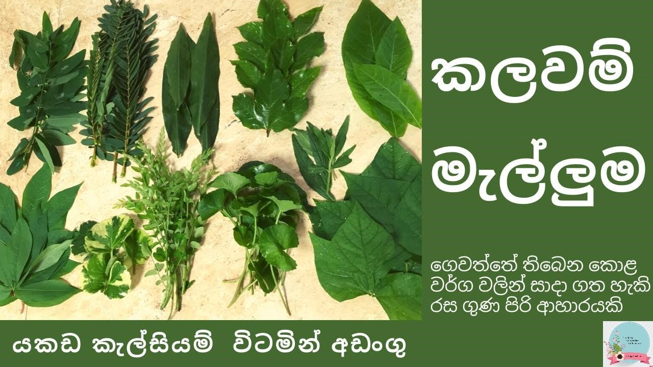Kalawam Pala Malluma | රස ගුණ සපිරි කලවම් පලා මැල්ලුම | MIXED LEAFY VEGGIE MALLUMA | Kalawam melluma