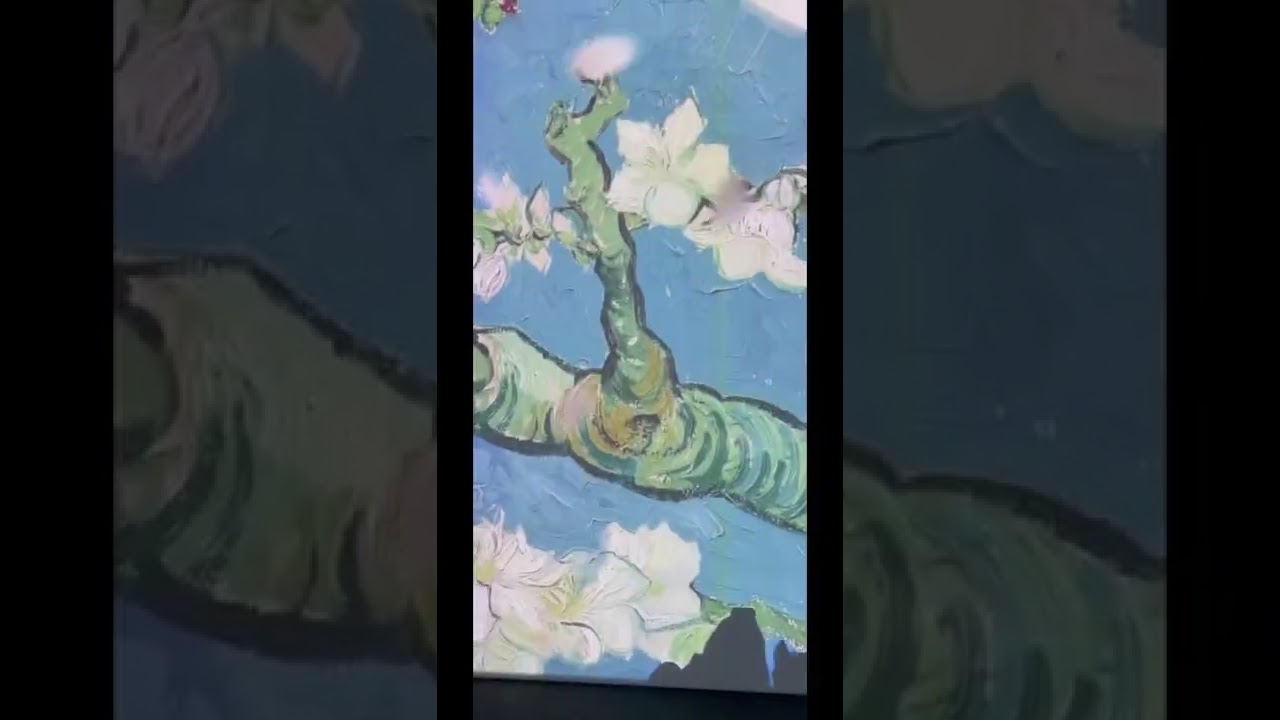 Van Gogh Alive digital immersive exhibitions in Perth 🤍 Western Australia