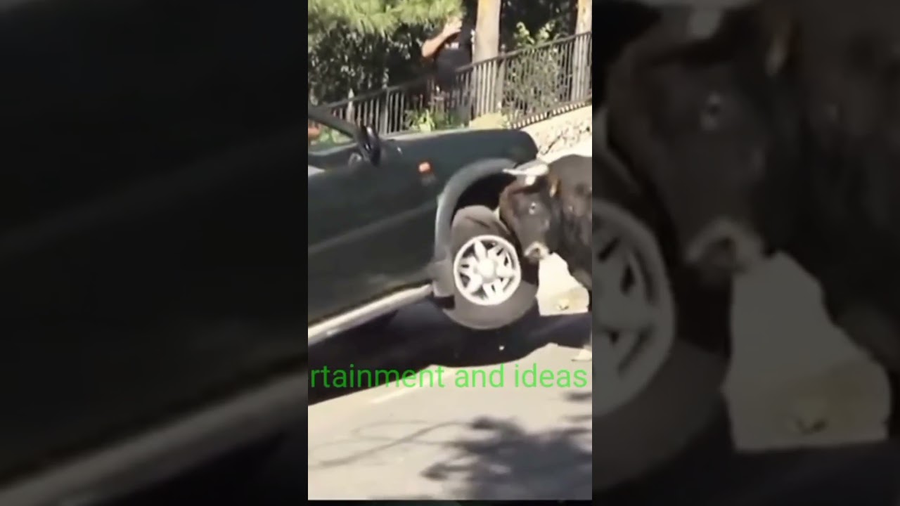 #youtubefunnyvideos #ytshorts #youtubebetashorts #offroading