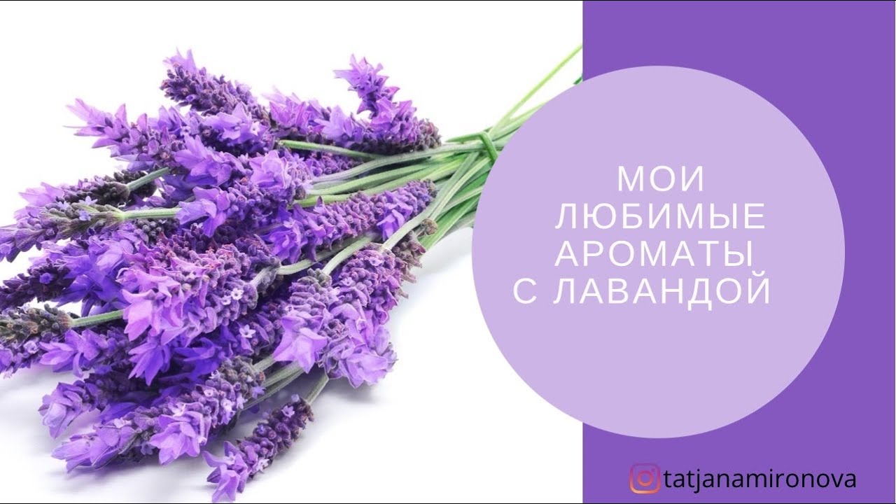 Мои любимые ароматы с лавандой.