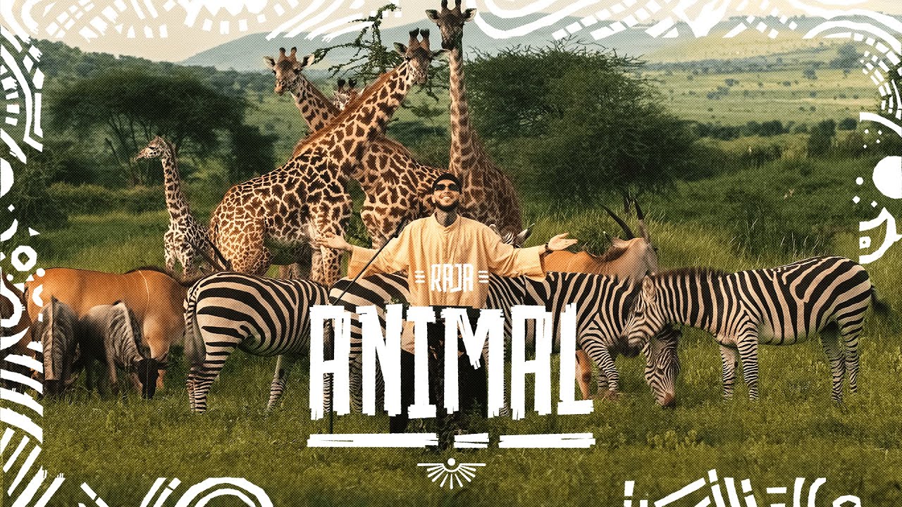 RAJA - ANIMAL (Wild DJ Live Set | Afro House & Tribal Techno)