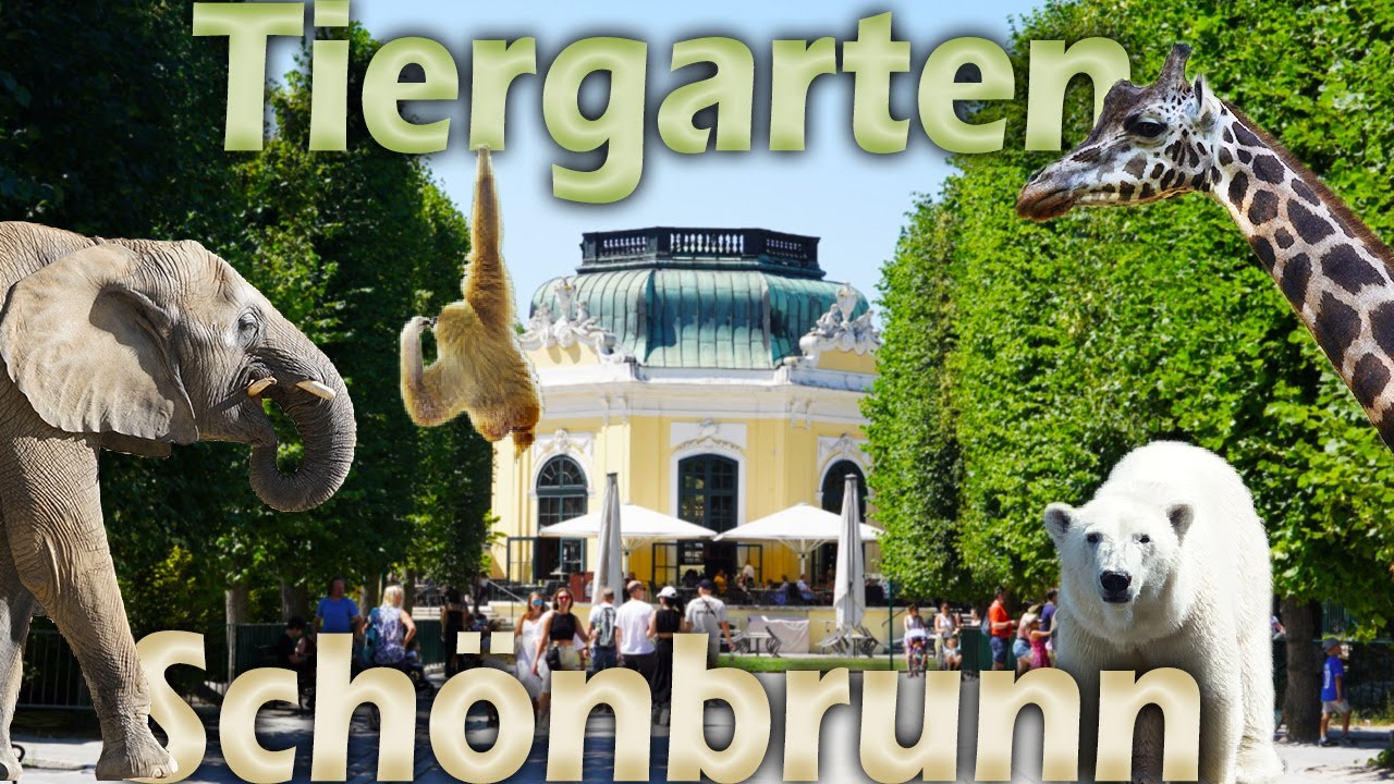 Der Tiergarten Schönbrunn - Barocke Architektur trifft Zoo