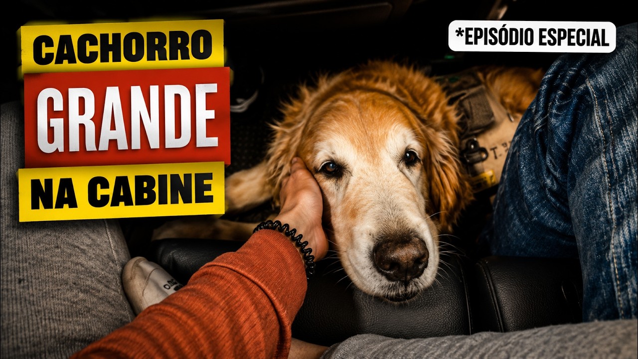 UM GOLDEN RETRIEVER NA CABINE DO AVIÃO • CACHORRO DE SERVIÇO VOANDO DOS EUA-PERU