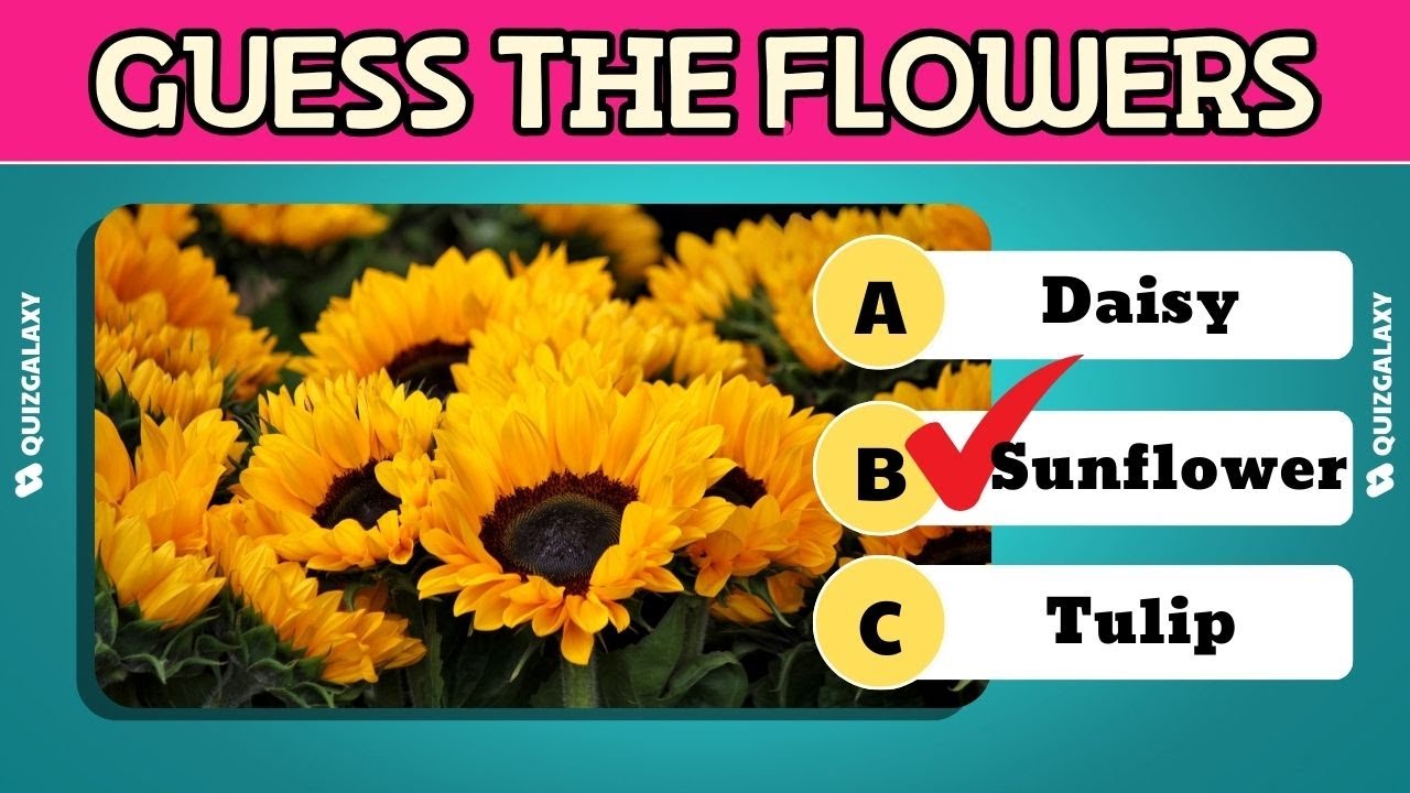 40 Flower Knowledge Test Riddles - Do you know everything about different types of flowers?
