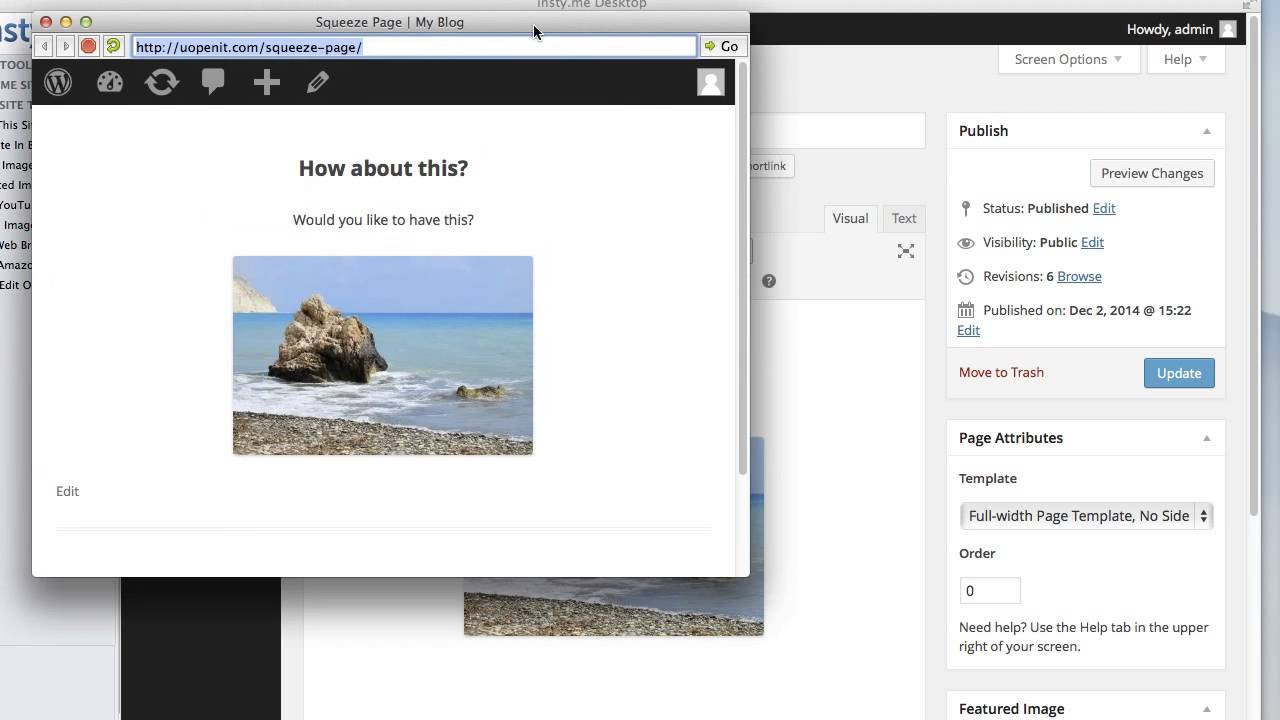 How to create a Squeeze Page or Landing Page for Free in Wordpress