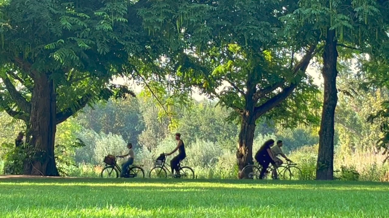 Blazing - Alexia Chellun