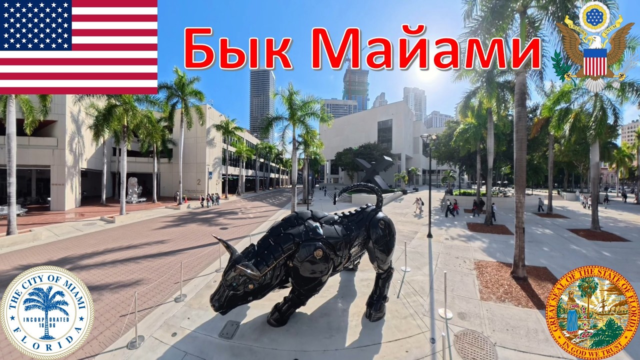 Бык Майами (Флорида - США - Соединённые Штаты Америки) / Miami Bull (Florida - USA)