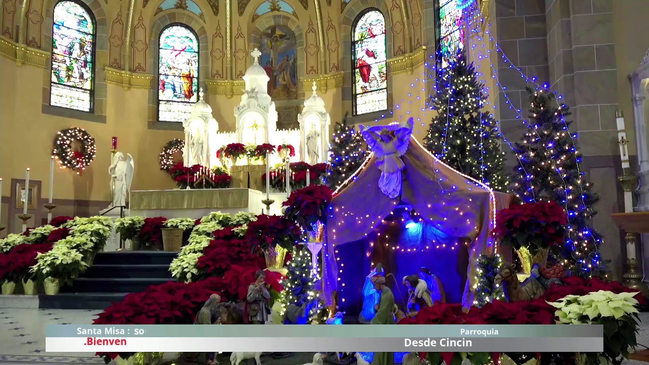 Santa Misa  solemnidad  de Santa María Madre de Dios. 01 de enero de 2026.