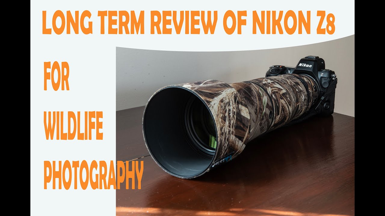 REVIEW OF NIKON Z8 FOR WILDLIFE PHOTOGRAPHY