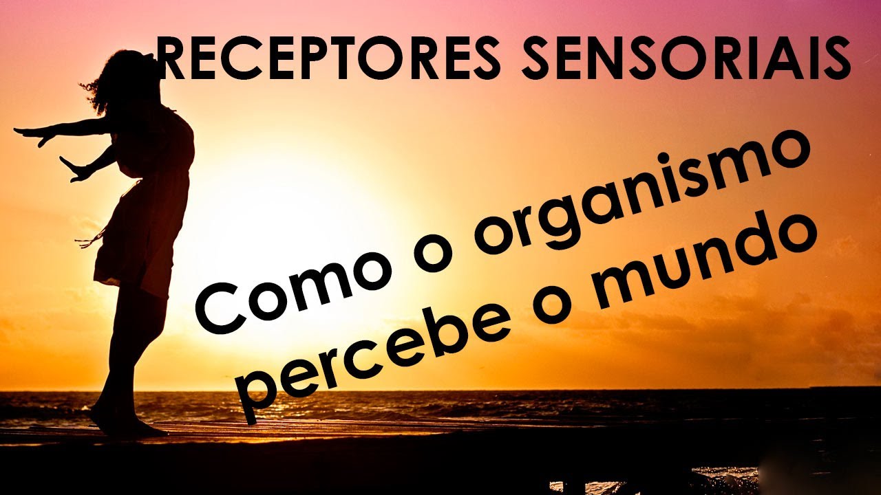 Receptores Sensoriais