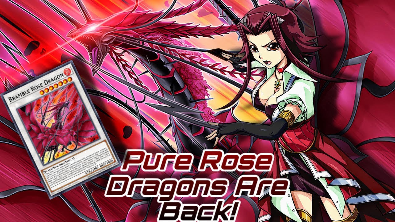 Pure Rose Dragons Are Back - Yu-Gi-Oh! MDPRO3