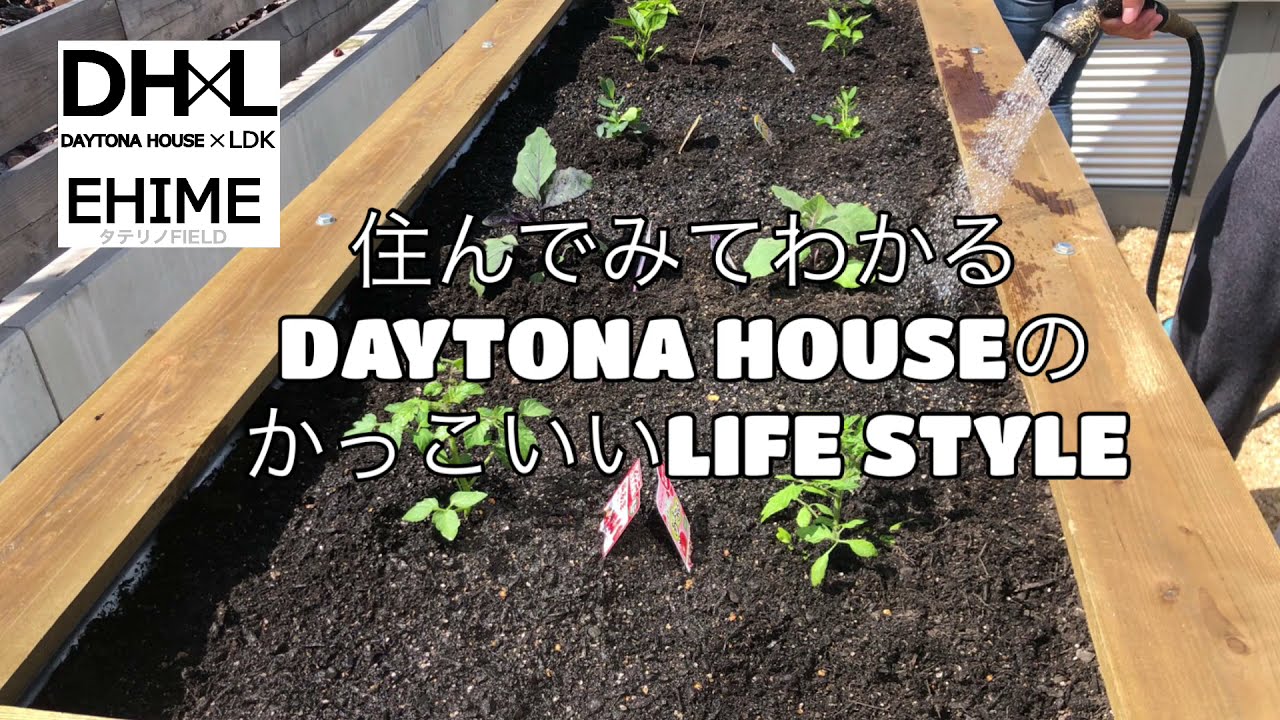 【自然】　DAYTONA　HOUSEの大型プランター作ってみた！これは最高傑作！！
