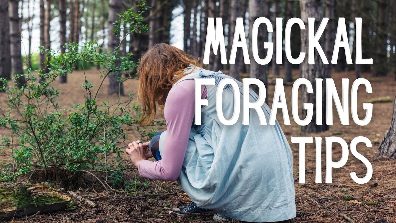 Smart Tips for Wildcrafting & Foraging Magickal Plants