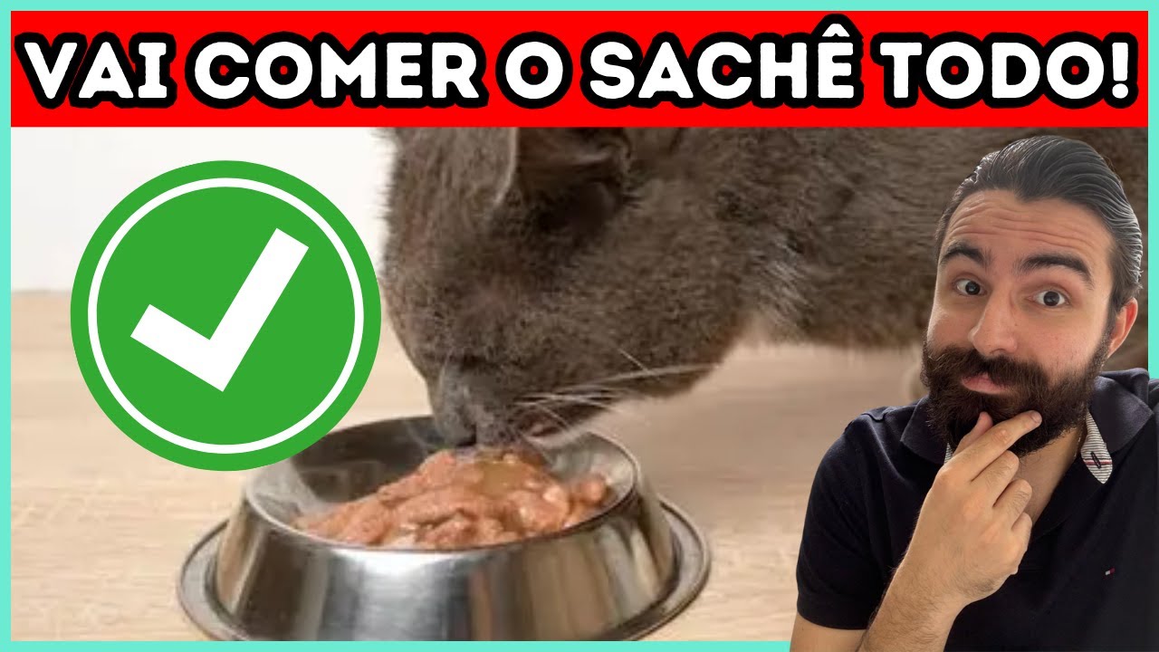 Se o Seu Gato Só Toma o CALDO Do Sachê, Faça ISSO!