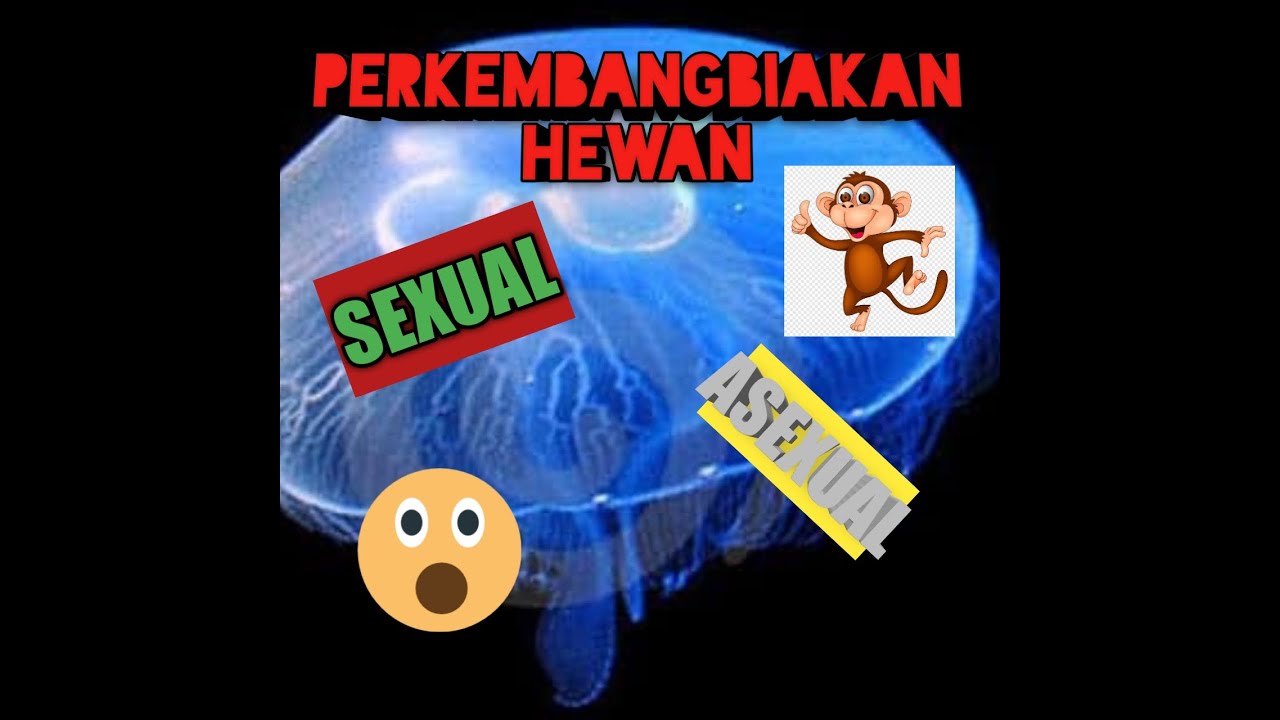 PERKEMBANGBIAKAN HEWAN | posmetop