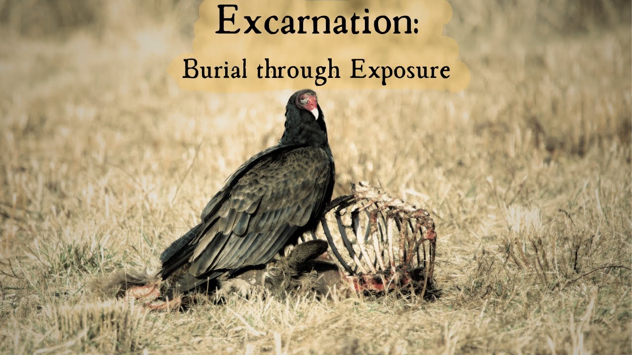 Excarnation