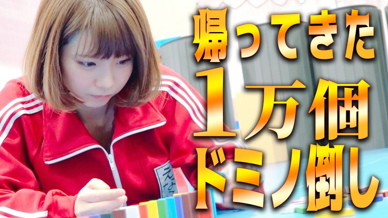 【ドキュメント】えなこがドミノ倒しに再挑戦するようです