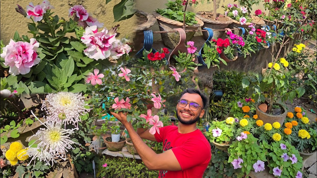 এত ফুল ফুটছে আর তোমাদেরকে দেখানোই হয়নি😅😍🌿 | শীতের ফুল গাছগুলোতে ভর্তি ফুল ফুটেছে🌻🍃😱| Bengalivlog