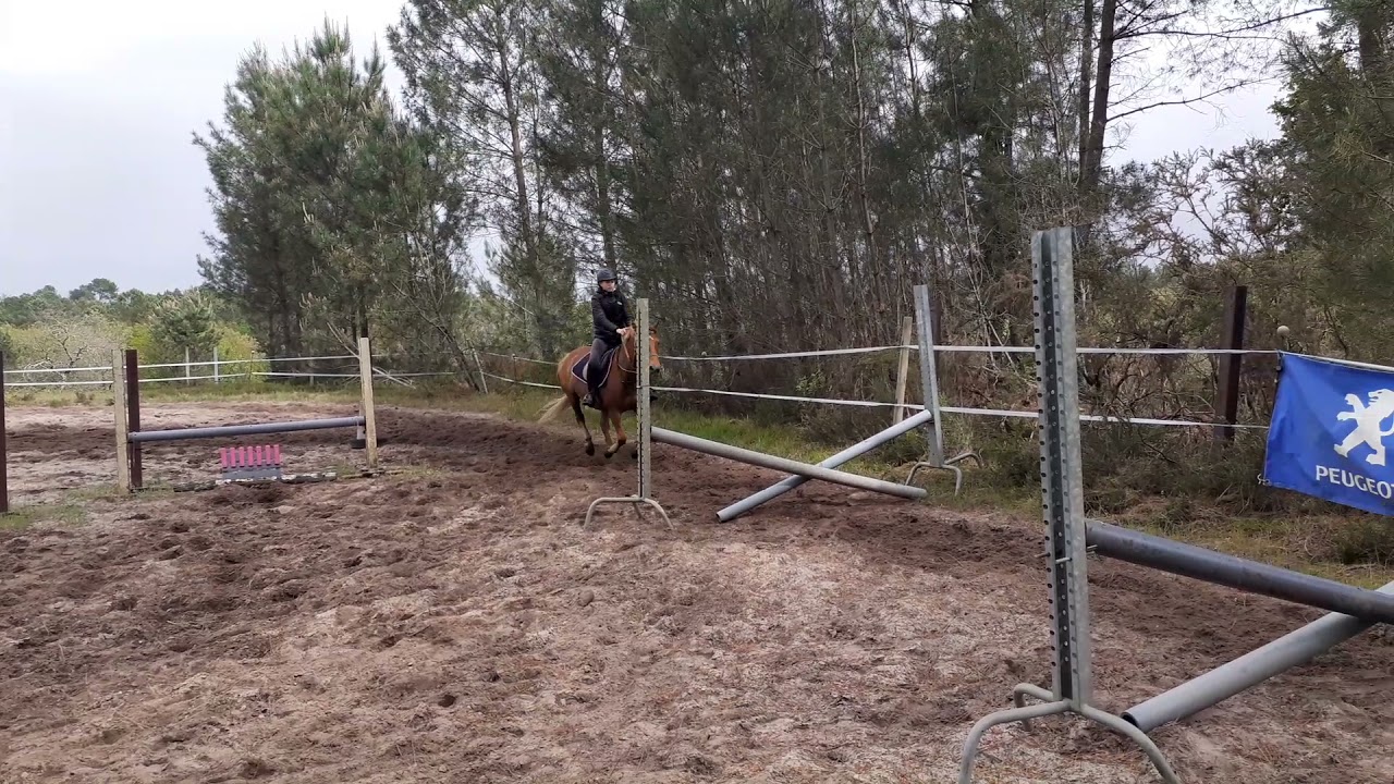 12/05/21 ligne de cavaletti avec dernier obstacle plus haut pour mes Galops 3